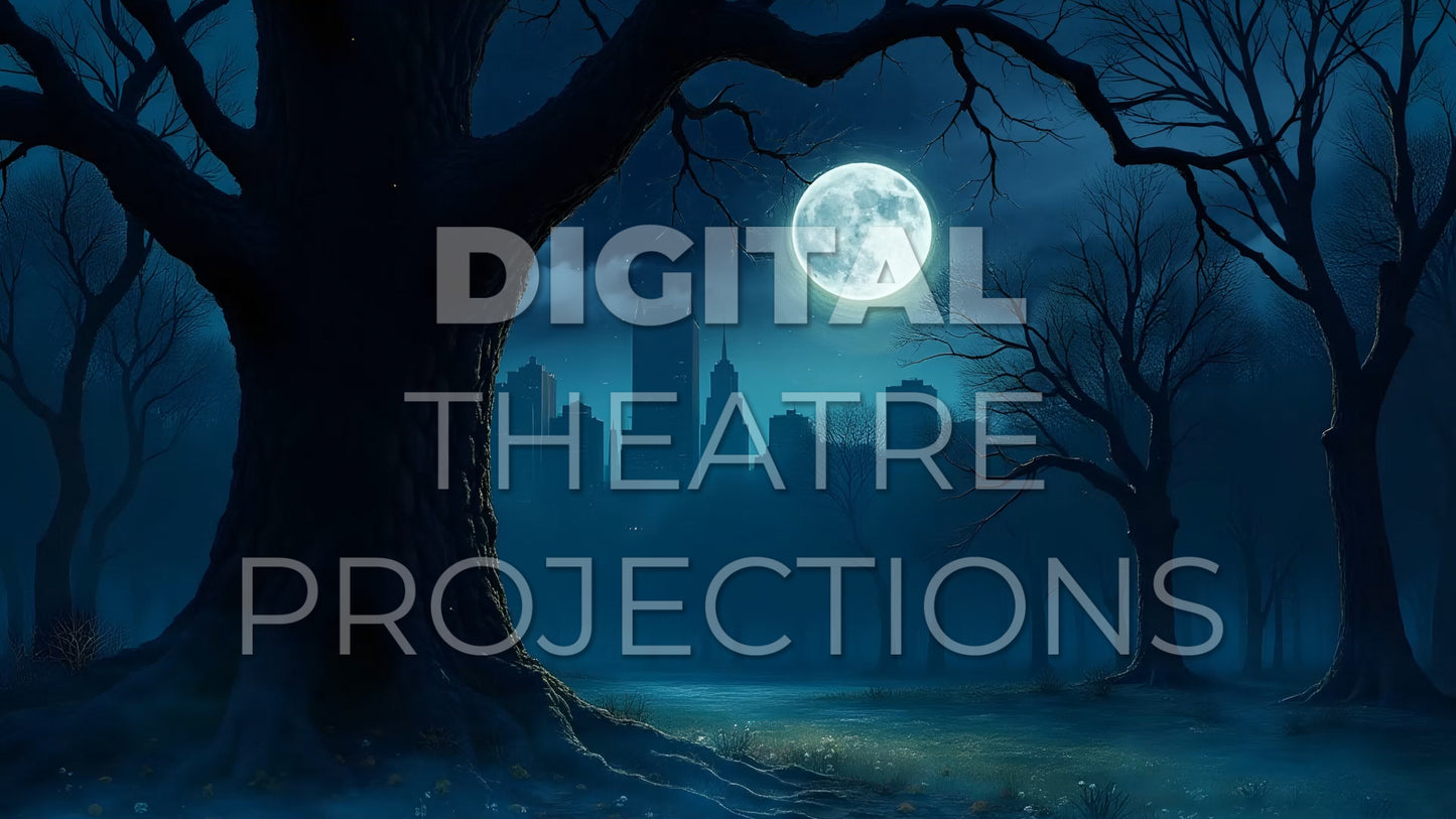 Addams Family: Central Park Backdrop Video